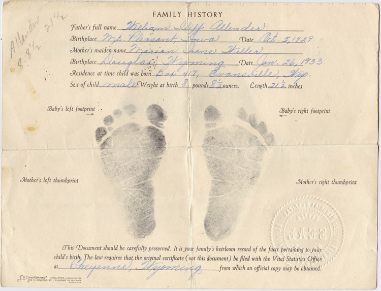 David's Birth Certificate (Back)